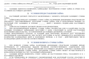 Беспроцентный договор займа между директором и ооо