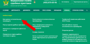 Почему на сайте фссп нет суммы задолженности