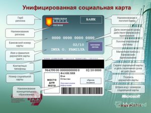 Номер Социальной Карты Учащегося 32 Цифры Где