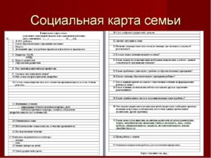 Сведения о семье ученика образец