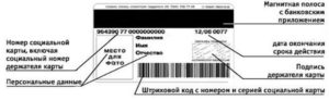 Номер Социальной Карты Учащегося 32 Цифры Где