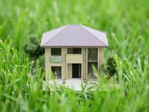 Можно ли продать приватизированный дом в администрацию поселка