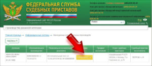 Почему на сайте фссп нет суммы задолженности