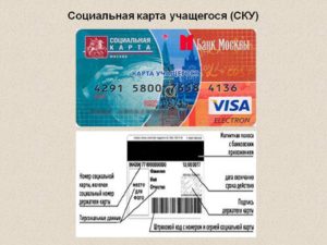 Номер Социальной Карты Учащегося 32 Цифры Где