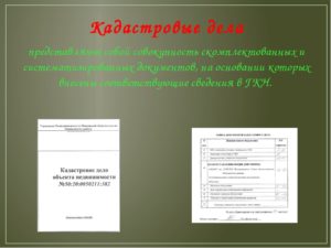 Что Такое Кадастровое Дело