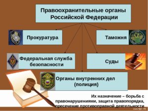 Правоохранительная деятельность кем можно работать