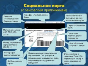 Номер Социальной Карты Учащегося 32 Цифры Где