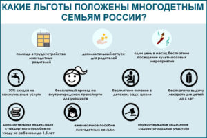 Статус многодетной семьи в республике беларусь в 2020 году