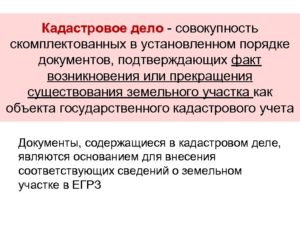 Что Такое Кадастровое Дело