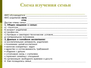 Сведения о семье ученика образец