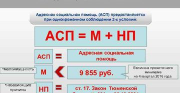 Что такое адресная помощь и кому она положена в ростовской области
