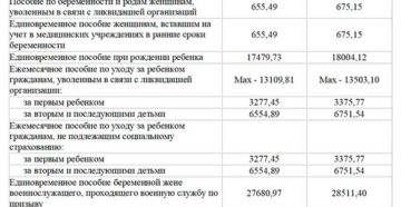 Президентские выплаты при рождении ребенка 2020 башкортостан как начисляются для многодетных Президентские выплаты при рождении ребенка 2020 башкортостан как начисляются для многодетных