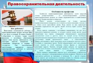 Правоохранительная деятельность кем можно работать