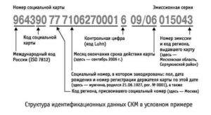 Номер Социальной Карты Учащегося 32 Цифры Где