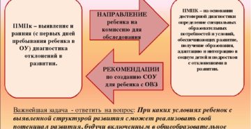 Кто определяет статус ребенка с овз Кто определяет статус ребенка с овз